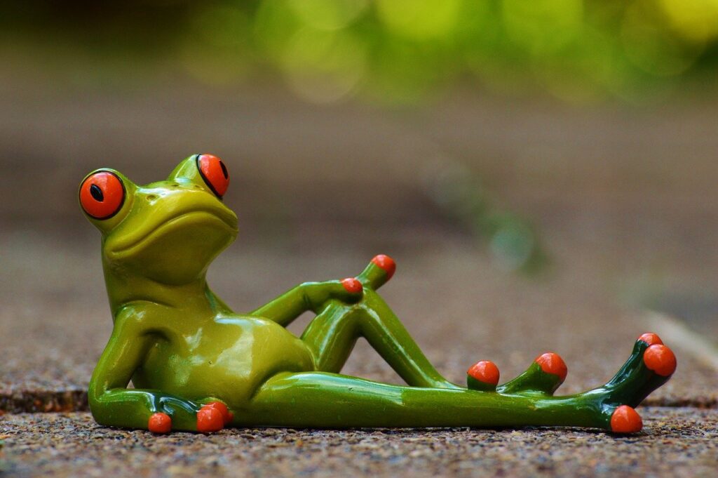 Frog Lying down in sun